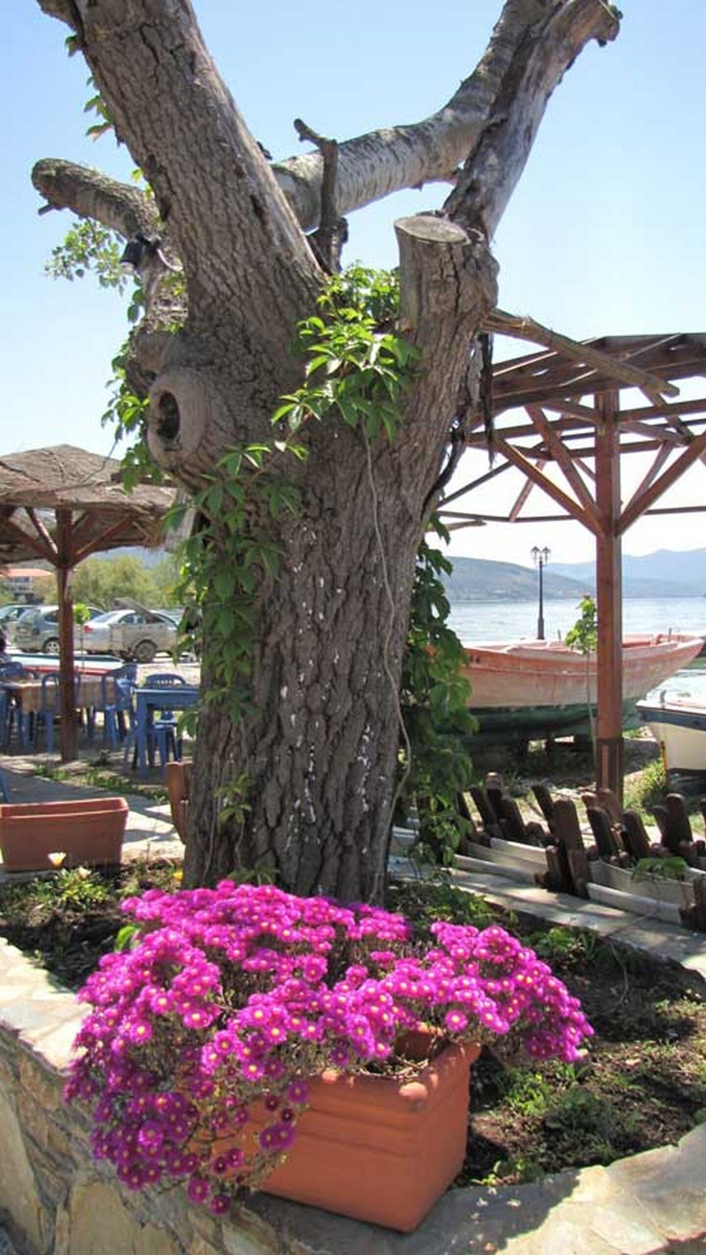 Eleni Villa Horto Pelion 4
