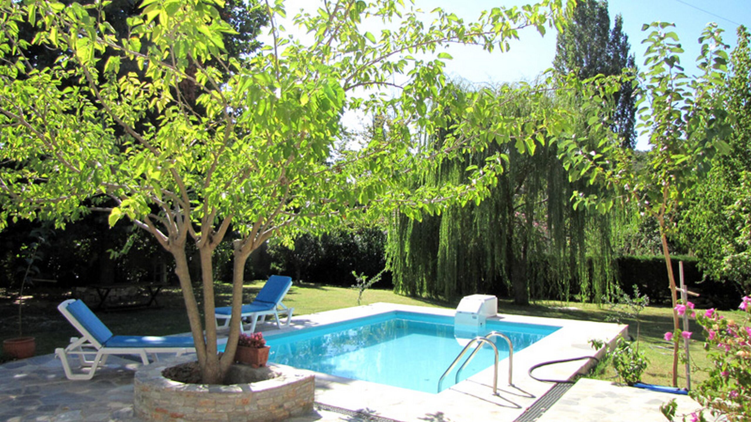El Villa Horto Exterior View