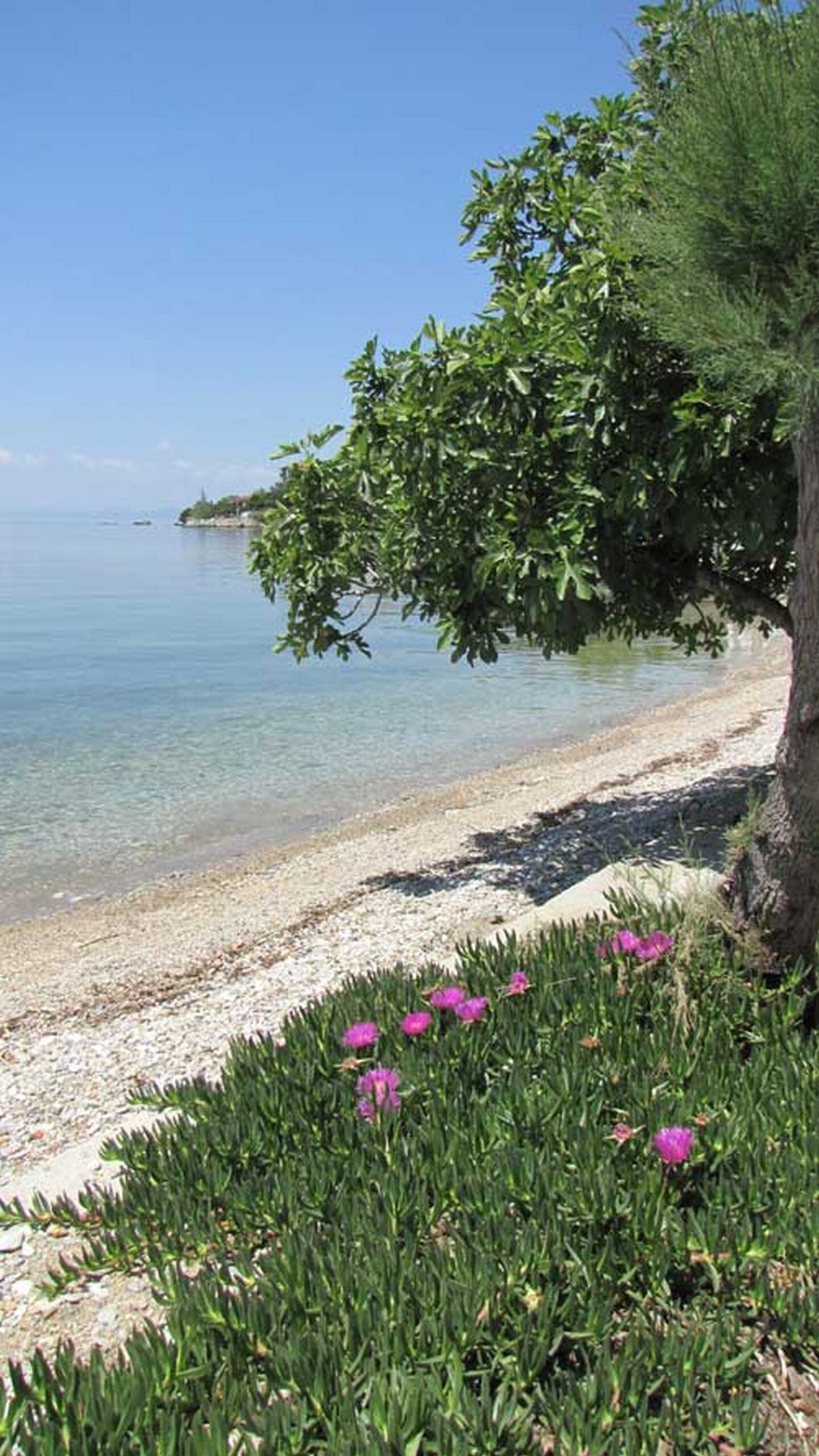Eleni Villa Horto Pelion 3